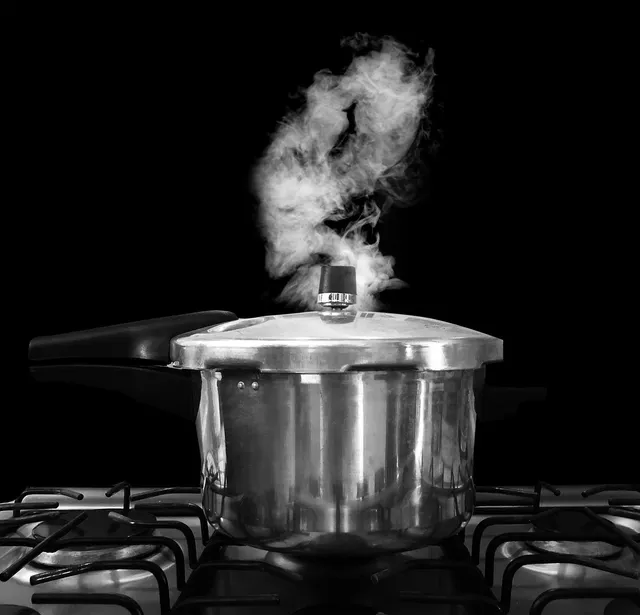 7 in 1 pressure cooker BSTY